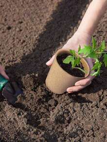 Pulp Seedling Pot, Disposable Seedling Cup, Seed Germination Pot, Seedling Pot, Flower Pot, Garden Planting Tool, Balcony, Garden Indoor Planting Tool - multicolor - View 3