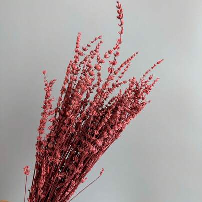 25/50/100/200+ 支干薰衣草花束，迷人香气，适用于沐浴、婚礼、家居花瓶装饰、工艺品制作、芳香疗法和香氛。