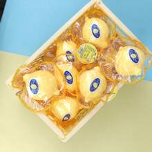 新款水果挤压减压玩具，缝制柠檬挤压减压玩具，桌面挤压玩具 - 彩色 - 查看 7