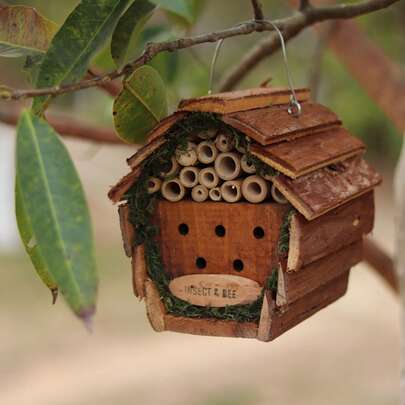 Natural Market Wooden Insect And Bee Hotel