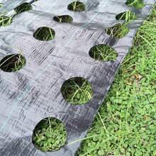 1m/2m/4m Wide/100GSM Control Fabric Membrane Garden Ground Cover Mat - 1米寬 - 查看 3