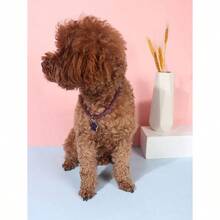 A Fashionable Fine Rhinestone Claw Print Pendant Necklace For Cats And Dogs, Suitable For Pet Cats And Dogs To Use At Home And Outdoors - Purple - View 2