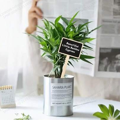 20pcs Mini Chalkboard Signs, Wooden Blackboard For Home Decor, Identification, Message Board, Suitable For Wedding, Baking Display, Hotel, Party, Dessert, Mother's Day, Graduation Ceremony And More Occasions