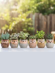 6pcs/Set Cute Owl Shaped Succulent Planter Pots - Drainage Hole Bottom - Mini Ceramic Flower Pots - Casual Style Ceramic Planters, Assorted Patterns, Lightweight Tabletop Plant Containers, Suitable For Indoor Use, Unique Asymmetrical Shape Decor Accessories (Plants Not Included) - Multicolor - View 11
