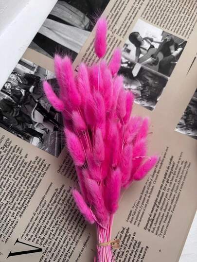 60/120/180/240 piezas Decoración de flores naturales secas, flores de hierba de cola de conejo natural secas, pasto pampa seco, usado para decoración del hogar, decoración de bodas, decoración de fiestas, manualidades DIY, accesorios de fotografía, decoración temática, 45cm