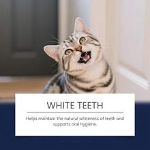 2pcs EelJoy Pet Teeth Cleaning Pen With Mint - Removes Stains & Plaque, Freshens Breath & Whitens Gently For Healthy Dog & Cat Oral Care, Easy Daily Use - View 5