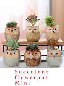 6pcs/Set Cute Owl Shaped Succulent Planter Pots - Drainage Hole Bottom - Mini Ceramic Flower Pots - Casual Style Ceramic Planters, Assorted Patterns, Lightweight Tabletop Plant Containers, Suitable For Indoor Use, Unique Asymmetrical Shape Decor Accessories (Plants Not Included) - Multicolor - View 15