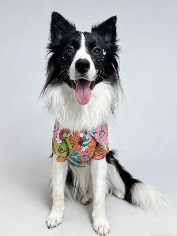 1 pieza Camisa floral hawaiana para mascotas, atuendo de moda y elegante para primavera/otoño para perros pequeños/medianos, Poodle, Teddy, gatos, adecuado para sesiones de fotos, previene el desprendimiento del pelo, protección solar, esencial para la playa