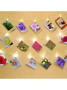 20/50/100pcs Mini Transparent Plastic Clips, Spring Clips, Towel/Photo Clips, Clothing Clips, DIY Photo Wall Home Decor - Transparent - View 3