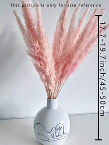 15/30/45/60pcs White Pampas Grass, White Mini Reed, Natural Dried Pampas Grass Branches Decor, Suitable For Home, Kitchen, Garden, Party, Home Decoration And Gifts - White - View 6