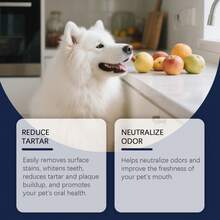 2pcs EelJoy Pet Teeth Cleaning Pen With Mint - Removes Stains & Plaque, Freshens Breath & Whitens Gently For Healthy Dog & Cat Oral Care, Easy Daily Use - View 4