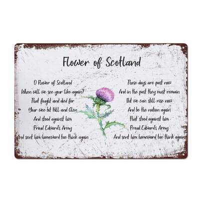 1pc Vintage Metal Tin Sign - Scottish Floral & Thistle Pattern Retro Wall Art, Frameless Rustic Decor, Suitable For Bar, Man Cave, Garage, Cafe - 30cm X 20cm, Classic Scottish Theme | Distressed Effect, Metal Wall Decor, Hole Positions As Shown In Size Chart