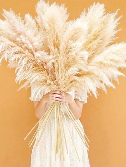 5/10/15/20 支装，每支高 55 厘米（21.6 英寸），米色蒲苇草，为您的空间增添波西米亚风情——蒲苇草是插花、花瓶、婚礼以及打造家居波西米亚氛围的理想之选。也适用于圣诞节、情人节和婚礼装饰。