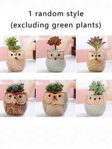 6pcs/Set Cute Owl Shaped Succulent Planter Pots - Drainage Hole Bottom - Mini Ceramic Flower Pots - Casual Style Ceramic Planters, Assorted Patterns, Lightweight Tabletop Plant Containers, Suitable For Indoor Use, Unique Asymmetrical Shape Decor Accessories (Plants Not Included) - Multicolor - View 16