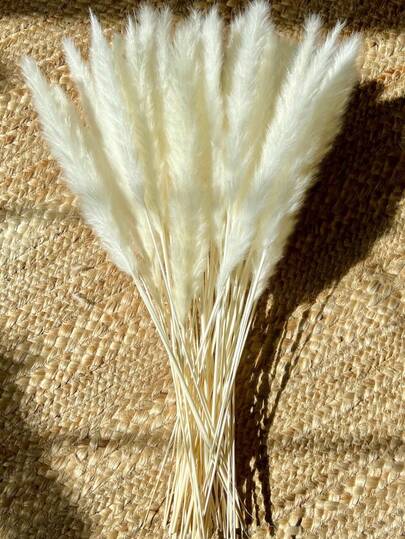 15/30/45/60 根白色蒲苇草，白色迷你芦苇，天然干蒲苇草枝装饰，适用于家居、厨房、花园、派对、家居装饰和礼品