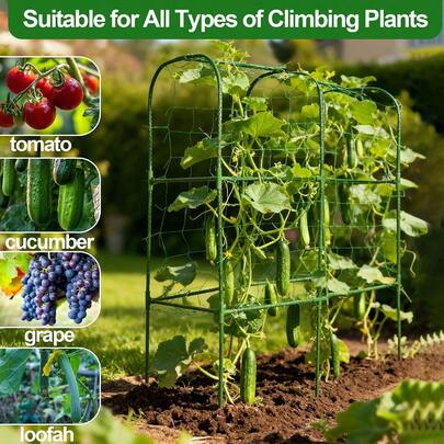 Enrejado para trepar pepinos de jardín, arco de jardín de metal para exteriores, soporte para plantas para verduras, enrejado para tomates, cama de jardín elevada