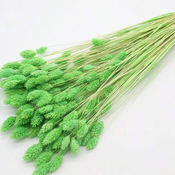 20/50/100pcs Gem Grass Dried Flowers/Preserved Flowers, Multi-Color Options, For Home Decor, Vase Decoration, DIY Bouquets, Cake Decoration