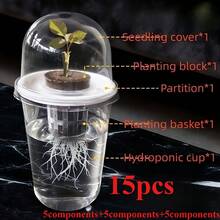 15件套水培种植套装（5个组件+5个组件+5个组件），水培种植盆，透明圆柱形，高透明密封水培杯，透明设计便于观察根系生长，小孔设计便于通风且不阻碍根系生长 - A - 查看 1