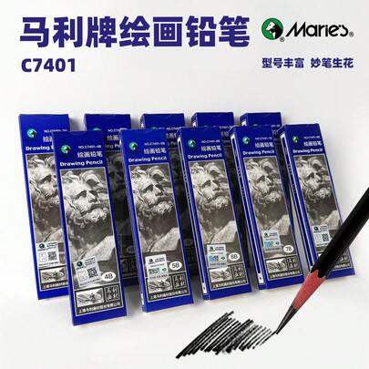 12 Pack Professional Sketching Pencil Set HB-14B Art Painting Sketching High Blackness Easy Coloring Suitable For Sketching/Sketching/Hand Drawing