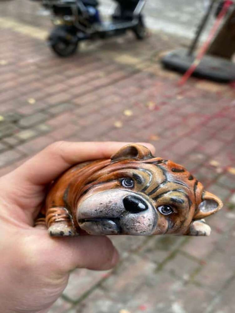 皱巴巴的小狗原创手绘迷你多肉植物花盆装饰 - 皺皮虎斑鬥牛 - 查看 5