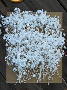 Dried Plants - White - View 3