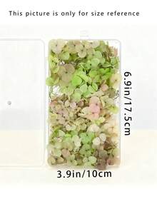 1Box High Quality Multicolour Hydrangea Dried Flowers-Perfect For DIY Crafts,Candles,Weddings,Diy Handmade - Sky Blue - View 4