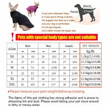 斯芬克斯猫冬季保暖套装 - 抓绒高领卫衣，透气无毛猫外套，适合小型/中型犬和吉娃娃，柔软舒适，户外防风防寒，适合秋冬季节 - 紫色 - 查看 2