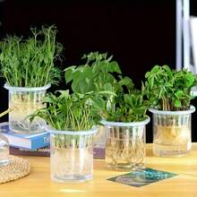 5个装水培蔬菜种植篮 | 塑料花盆，适用于家庭阳台园艺和水培育苗，休闲风格，室内外均可使用，园艺用品，户外装饰，花园，家居装饰 - 多色 - 查看 1