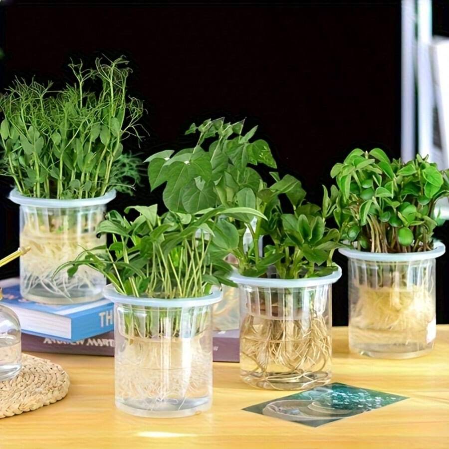 5个装水培蔬菜种植篮 | 塑料花盆,适用于家庭阳台园艺和水培育苗,休闲风格,室内外均可使用,园艺用品,户外装饰,花园,家居装饰 - 多色 - 查看 1