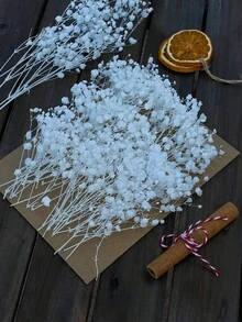 Dried Plants - White - View 9