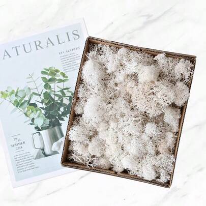 1 Box Moss Plants, Eternal Moss For Home Decor, Holiday Photo Props, Fairy Garden, Crystal Jars, Crafts And Weddings, DIY Aquarium Decoration