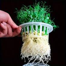 5个装水培蔬菜种植篮 | 塑料花盆，适用于家庭阳台园艺和水培育苗，休闲风格，室内外均可使用，园艺用品，户外装饰，花园，家居装饰 - 多色 - 查看 5