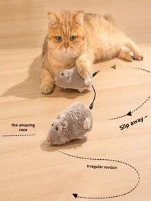 毛绒老鼠猫玩具、发条老鼠猫玩具、逼真老鼠猫玩具、互动小猫玩具、自娱自乐发条猫玩具、趣味室内猫玩具、畅销猫玩具、热门必备猫玩具、猫咪娱乐玩具、畅销宠物玩具 - 查看 4