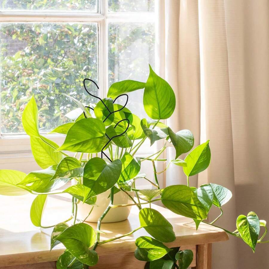 Potted Plant Support, Plant Climbing Trellis, Creative Leaf-Shaped Vine Rack, Iron Garden Fixed Rod, Flower Stand - Multiple Styles - View 1