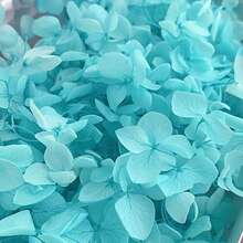 1Box High Quality Multicolour Hydrangea Dried Flowers-Perfect For DIY Crafts,Candles,Weddings,Diy Handmade - Sky Blue - View 3