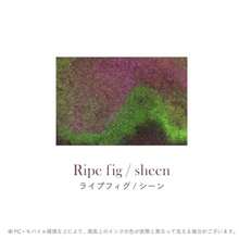 セーラー万年筆 つけペンインクセット-Dipton+hocoro - ダークケイブ/シーン筆文字 10-0251-703 - ライプフィグ/シーン - チェックする 4