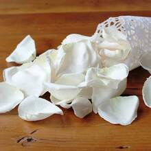 10g/50g/100g Freeze-Dried Ivory Rose Petals, Real Rose Petals, Perfect Preservation - White - View 1