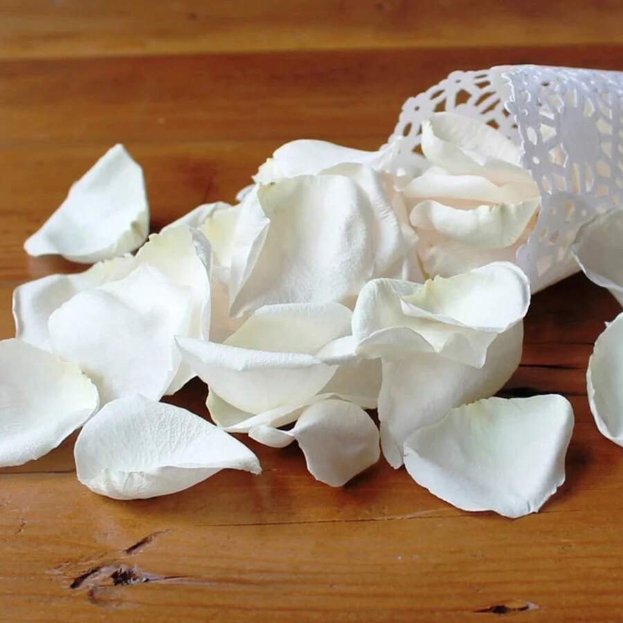 10g/50g/100g Freeze-Dried Ivory Rose Petals, Real Rose Petals, Perfect Preservation - White - View 1