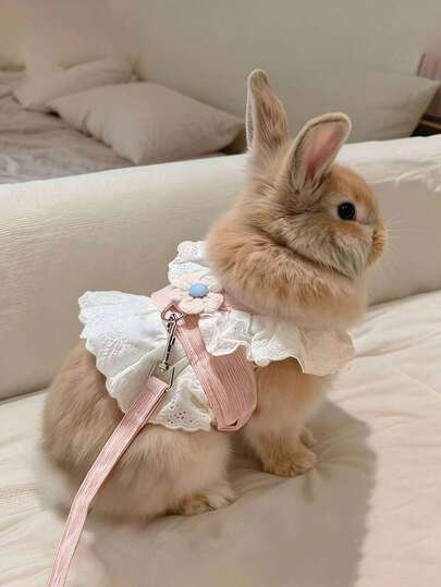 1pc Rabbit & Flower Decor Chest Strap Leash, Outdoor Pet Escape Prevention Clothing Chest Strap