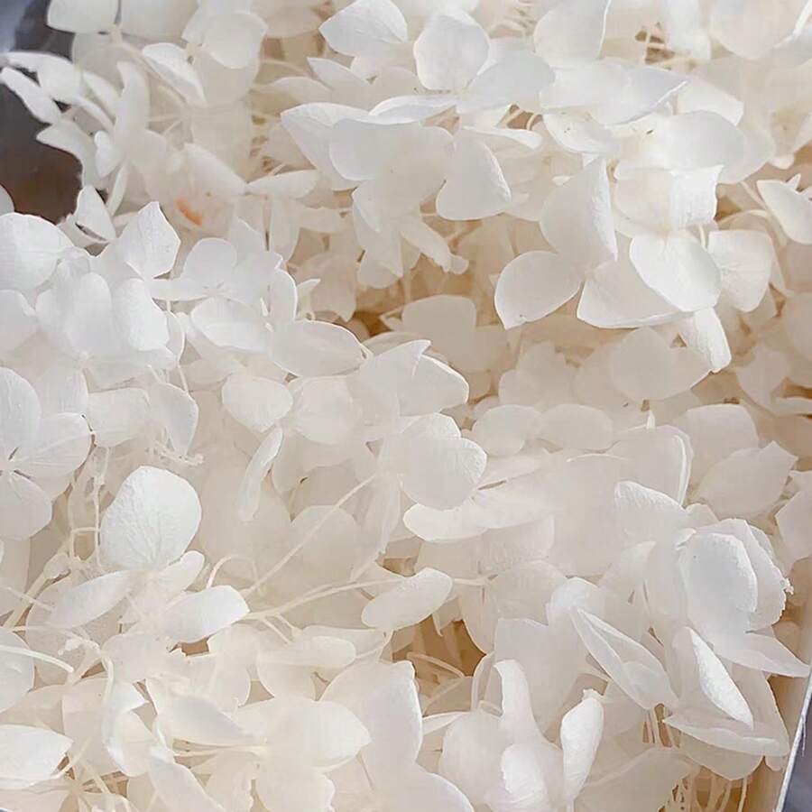 1Box High Quality Multicolour Hydrangea Dried Flowers-Perfect For DIY Crafts,Candles,Weddings,Diy Handmade - White - View 1
