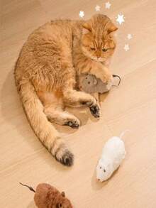 毛绒老鼠猫玩具、发条老鼠猫玩具、逼真老鼠猫玩具、互动小猫玩具、自娱自乐发条猫玩具、趣味室内猫玩具、畅销猫玩具、热门必备猫玩具、猫咪娱乐玩具、畅销宠物玩具 - 查看 3