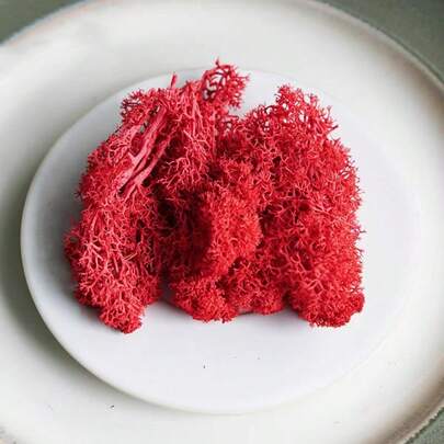 1 Box Moss Plants, Eternal Moss For Home Decor, Holiday Photo Props, Fairy Garden, Crystal Vase, Crafts And Weddings, DIY Aquarium Decoration