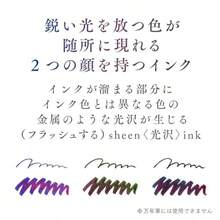 セーラー万年筆 つけペンインクセット-Dipton+hocoro - ダークケイブ/シーン筆文字 10-0251-703 - ライプフィグ/シーン - チェックする 5