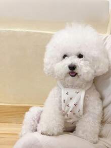 可爱樱桃印花狗狗背心 - 柔软弹力纽扣宠物背心，适合小型和中型犬猫，春夏轻薄透气服装 - 白色 - 查看 4