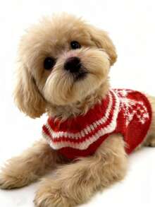 Cute & Warm Pet Sweater, Autumn/Winter Clothing For Cats & Dogs - Red - View 3