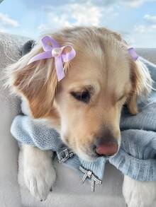 6 件装可爱宠物蝴蝶结发夹，珍珠蝴蝶结狗猫生日派对发饰 - 黃色 - 查看 11