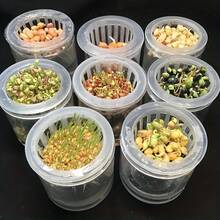 5个装水培蔬菜种植篮 | 塑料花盆，适用于家庭阳台园艺和水培育苗，休闲风格，室内外均可使用，园艺用品，户外装饰，花园，家居装饰 - 多色 - 查看 2