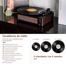 Turntables - Black Wood Grain - View 6