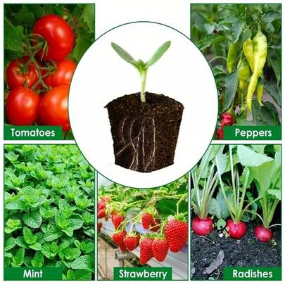 20/40片装育苗海绵套装，适用于室内水培种植系统，包含可替代种子荚的海绵，兼容大多数水培生长系统。