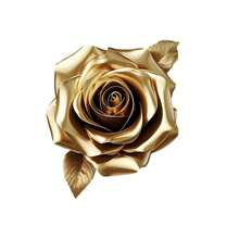 1件/2件/3件装奢华金色玫瑰热转印贴纸，3D热敏打印DIY工艺品材料，适用于T恤、牛仔裤、毛衣、手提包、枕头、靠垫等。 - L+S - 查看 5